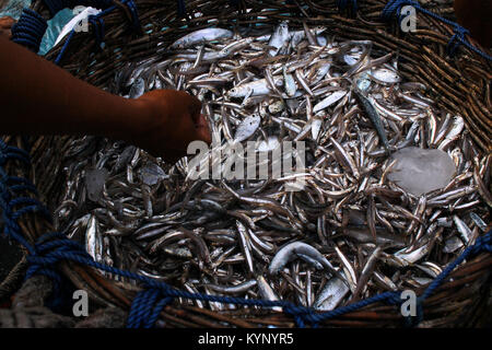 Lhokseumawe, Aceh, Indonésie. 15 Jan, 2018. Divers types de poissons vu afficher dans les marchés traditionnels de Lhokseumawe Ville. Le gouvernement indonésien a relevé son objectif de la pêche en 2018 par 9,45 millions de tonnes par rapport à l'année précédente objectif de seulement 7,8 millions de tonnes. Credit : Maskur a/SOPA/ZUMA/Alamy Fil Live News Banque D'Images