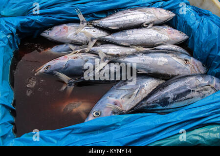 Lhokseumawe, Aceh, Indonésie. 15 Jan, 2018. Divers types de poissons vu afficher dans les marchés traditionnels de Lhokseumawe Ville. Le gouvernement indonésien a relevé son objectif de la pêche en 2018 par 9,45 millions de tonnes par rapport à l'année précédente objectif de seulement 7,8 millions de tonnes. Credit : Maskur a/SOPA/ZUMA/Alamy Fil Live News Banque D'Images