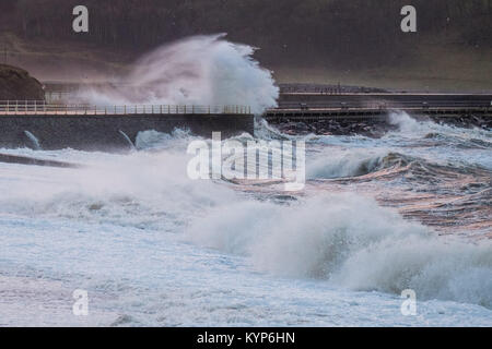 Pays de Galles Aberystwyth UK Mardi 16 janvier 2018 UK Weather : force de coup de vent et la marée haute, concourent à une mer d'énormes vagues se briser dans la mer de défense à Aberystwyth, sur la côte ouest de la Baie de Cardigan au Pays de Galles à la première lumière aujourd'hui. Le Met Office a émis un avertissement jaune pour vent couvrant l'ensemble de l'UK le mercredi et jeudi en, avec des rafales devrait atteindre 70 mph en mai lieux ouverts à l'origine d'une perturbation des déplacements et des risques de dommages aux propriétés Crédit photo : Keith Morris/Alamy Live News Banque D'Images