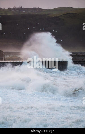 Pays de Galles Aberystwyth UK Mardi 16 janvier 2018 UK Weather : force de coup de vent et la marée haute, concourent à une mer d'énormes vagues se briser dans la mer de défense à Aberystwyth, sur la côte ouest de la Baie de Cardigan au Pays de Galles à la première lumière aujourd'hui. Le Met Office a émis un avertissement jaune pour vent couvrant l'ensemble de l'UK le mercredi et jeudi en, avec des rafales devrait atteindre 70 mph en mai lieux ouverts à l'origine d'une perturbation des déplacements et des risques de dommages aux propriétés Crédit photo : Keith Morris/Alamy Live News Banque D'Images