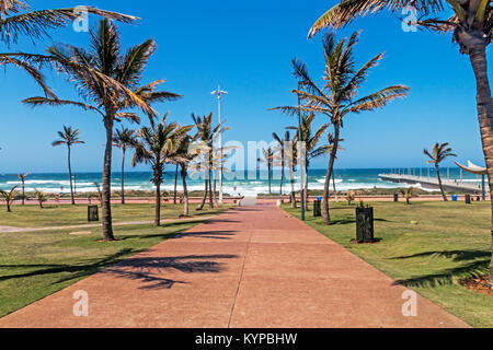 Allée bordée de palmiers de béton en direction plage Mer et Littoral bleu skyline à Durban, Afrique du Sud Banque D'Images