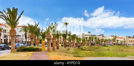 Palmiers poussent le long des trottoirs de bois promenade le long de la plage de sable de la ville. Vieux port dans resort Rethymno, Crète, Grèce. Architecture grecque Banque D'Images