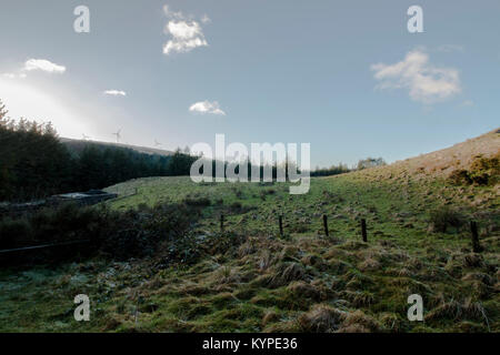 Llywernog, nr Aberystwyth, Ceredigion, pays de Galles. 07/01/2018 Banque D'Images