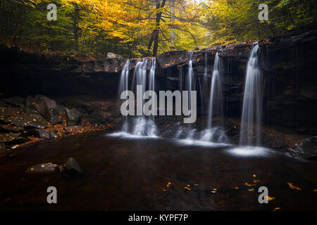 L'Oneida tombe dans Ricketts Glen State Park Banque D'Images