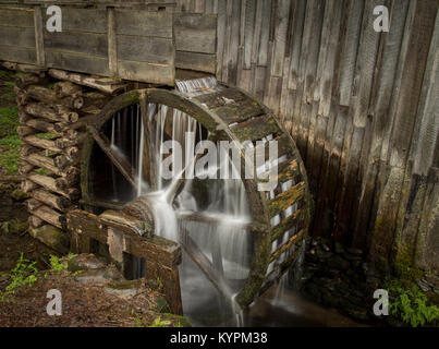 L'usine de câble dans le cade's Cove, Great Smoky Mountains National Park, California, USA. Banque D'Images