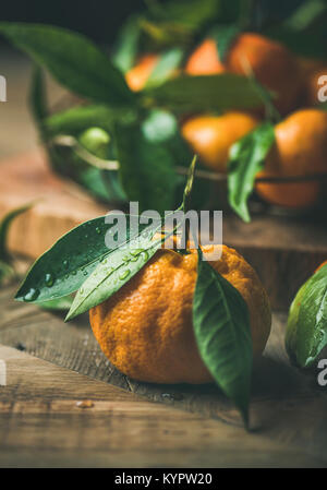 Table de Noël ou Nouvel An. La mandarine frais mûrs avec des feuilles sur fond de table en bois rustique, selective focus, composition verticale, close-up Banque D'Images