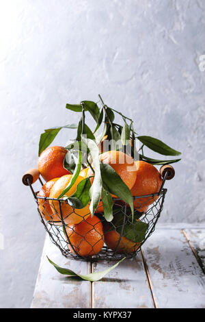 Clémentines ou mandarines biologiques mûrs avec des feuilles dans panier debout sur planche en bois blanc table avec mur gris en arrière-plan. Style rustique. En bonne santé Banque D'Images