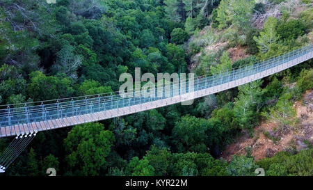 Pont suspendu, entouré par une forêt luxuriante - Descendante vue aérienne Banque D'Images