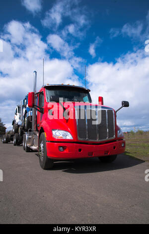 Un gros camion semi moderne rouge camion transportant des camions d'autres camions semi de divers modèles et couleurs, chargés l'un sur l'autre Banque D'Images