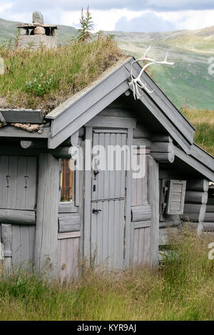 Cabane en bois avec toit de gazon vert et décoré avec bois en Sogn og Fjordane campagne ouest de la Norvège Banque D'Images