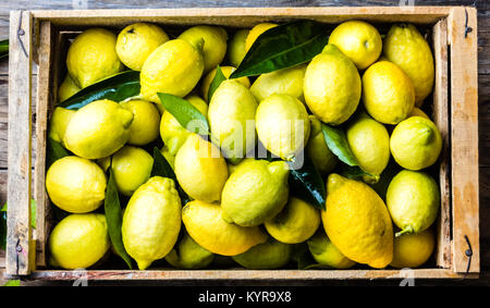 Fort de citrons jaune citron frais avec les feuilles des arbres sur le vieux fond de bois avec l'exemplaire de l'espace. Vue d'en haut Banque D'Images