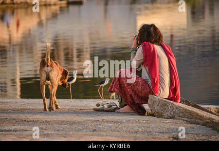 Le photographe et ses chiens en lac Pushkar, Pushkar, Rajasthan, India Banque D'Images