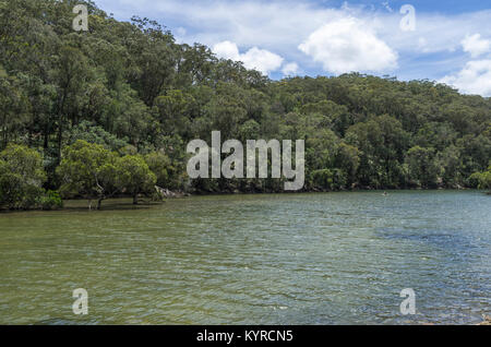 Apple Tree Creek de pique-nique dans la région de Ku Ring gai Chase National Park au nord de Sydney, Australie Banque D'Images