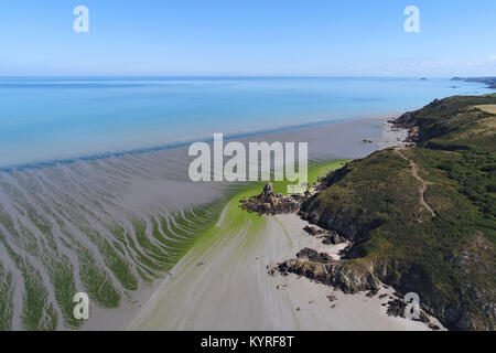 Morieaux (Bretagne, nord-ouest de la France) : Vue aérienne de la côte et le vert des algues marines sur la plage à marée basse Banque D'Images