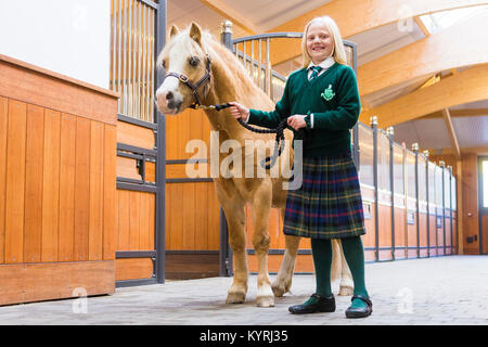 Poney Welsh Mountain, Section A. Girl conduisant un hongre palomino dans une étable lane. Allemagne Banque D'Images