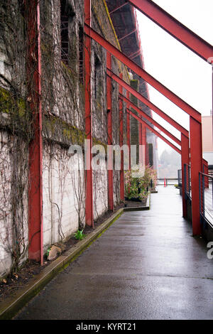 Une série de mesures de soutien à l'ancien mur, couvert de lierre, vieilles et sèches forment un vilain galerie voûtée menant à la rive de la rivière Willamette à Portland Banque D'Images