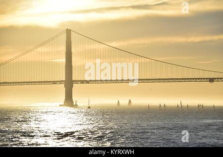 Une flottille de petits bateaux à voile au coucher du soleil sous le Golden Gate Bridge, San Francisco. Banque D'Images