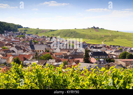 France, Marne (51), Parc naturel régional de la Montagne de Reims, Route du Champagne de la montagne de Reims, Verzenay, village et vignoble // France Banque D'Images