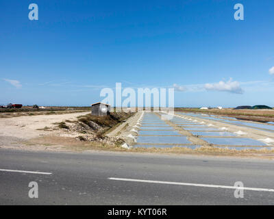 Salt Flats, Ile de Ré, France. Banque D'Images