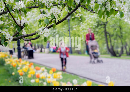 Balade des gens heureux, des familles avec enfants dans le parc avec des tulipes, fleurs de Sakura, cerisier, Apple Blossoms, journée ensoleillée. Résumé image floue, le printemps, l'arrière-plan Banque D'Images