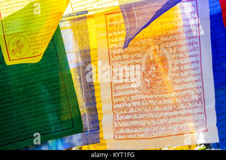 Les drapeaux de prières bouddhistes dans la région de Dharamsala, en Inde, la maison du gouvernement tibétain en exil Banque D'Images