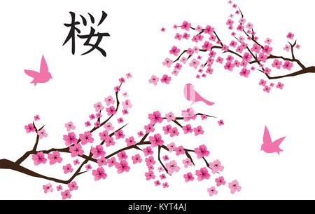 Vector illustration fleur de cerisier avec le texte japonais et rose. Illustration de Vecteur