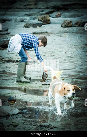 Garçon et chien beagle, sur la côte, littoral, à Runswick Bay, Yorkshire, UK Banque D'Images