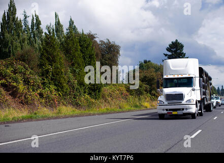 Bonnet blanc gros camion camion semi cabine de jour avec becquet sur le toit se déplaçant avec l'étape vers le bas semi-remorque transportant des tuyaux en plastique noir sur la route verte Banque D'Images