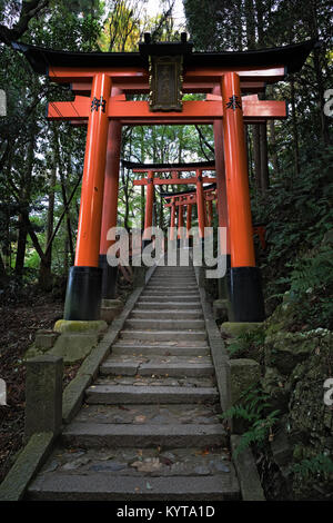 Kyoto, Japon, 9 novembre 2017 : chemin de pierre menant à travers les ports tori rouge au Sanctuaire Fushimi Inari. Banque D'Images