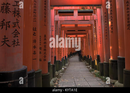 Kyoto, Japon, 9 novembre 2017 : chemin de pierre menant à travers les ports tori rouge au Sanctuaire Fushimi Inari. Banque D'Images