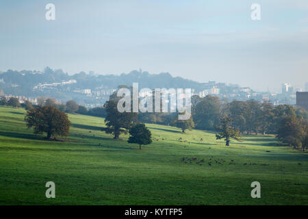 Bristol City Skyline de Ashton Court Deer Park. Bristol. UK. Banque D'Images