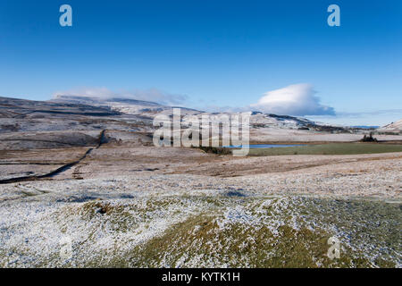 Le sanglier est tombé à la tête de l'Eden Valley en Cumbria près de Ravenstonedale, recouvert de neige. Banque D'Images