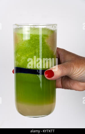 Les fruits et légumes en jus prêt à boire ou de décisions dans un smoothie Banque D'Images