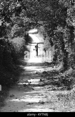 Photo en noir et blanc d'un worker cutting off couverture un bois lane Banque D'Images