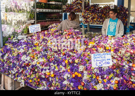 Columbia Road Flower Market stall avec des commerçants vendant le statice éternel, Columbia Rd, Londres, Angleterre, GB, Royaume-Uni Banque D'Images