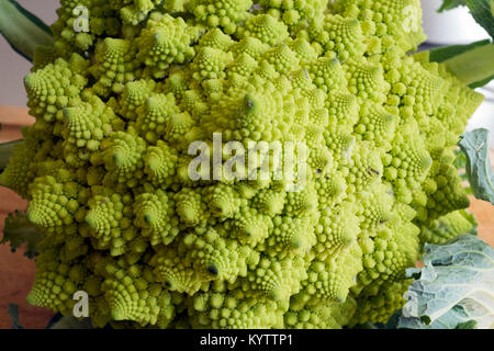 Close up le chou-fleur romanesco Banque D'Images