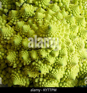 Close up le chou-fleur romanesco texture full frame Banque D'Images