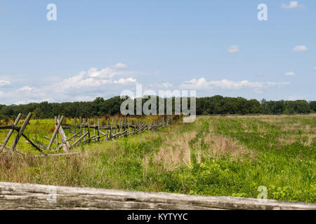 Vue depuis l'Emmitsburg Road vers le Séminaire sur les lignes confédérées Ridge, Gettysburg National Military Park, Virginia, United States. Banque D'Images