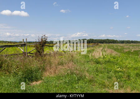 Vue depuis l'Emmitsburg Road vers le Séminaire sur les lignes confédérées Ridge, Gettysburg National Military Park, Virginia, United States. Banque D'Images