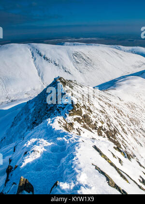 Tranchant sur une crête de montagne dans le Blencathra Parc National de Lake District, UK Banque D'Images