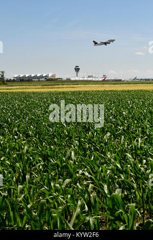 Champ, zone de l'aéroport, aérogare, avec avion décollant, Lufthansa, LH, Airbus, l'A319, l'aéroport de Munich, Banque D'Images