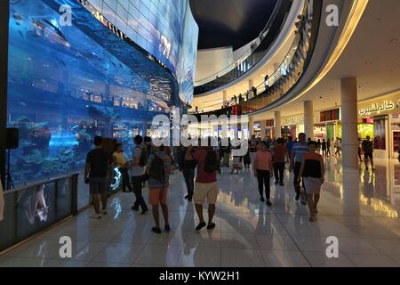 Dubaï, Émirats arabes unis - 22 NOVEMBRE 2017 : Les acheteurs visitent l'aquarium de Dubai Mall. C'est le plus grand centre commercial dans le monde en superficie totale avec 502 000 mètre carré Banque D'Images