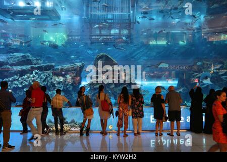 Dubaï, Émirats arabes unis - 22 NOVEMBRE 2017 : Les acheteurs visitent l'aquarium de Dubai Mall. C'est le plus grand centre commercial dans le monde en superficie totale avec 502 000 mètre carré Banque D'Images