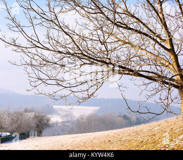 Couleur pittoresque paysage nature idyllique en plein air libre de droit d'une campagne vallonnée avec neige/brouillard Brume prises sur une journée ensoleillée avec arbre dans la foregound Banque D'Images