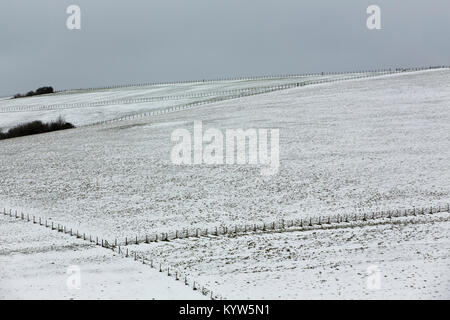 Fine couche de neige sur les South Downs dans le Hampshire. Ciel gris foncé frais généraux qui se profile. Banque D'Images