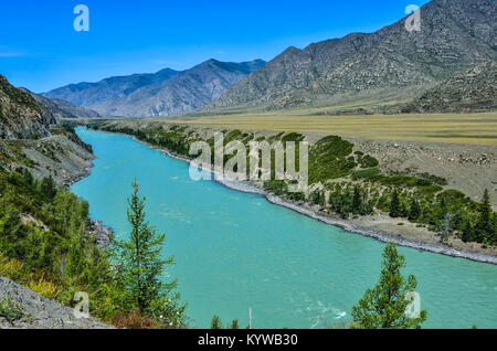 Rivière Katun Turquoise dans une vallée de montagne - belle vue de la couleur des roches en journée ensoleillée, république de l'Altaï, en Russie Banque D'Images