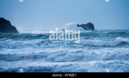 Les vagues de tempête Newquay Newquay swamp Rock Gull UK Banque D'Images