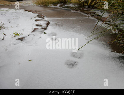 Katy, TX, USA. 16 janvier, 2018. Voir les traces de pas dans la neige et de la glace comme temps de gel se déplace dans la région de Katy, TX. John Glaser/CSM/Alamy Live News Banque D'Images