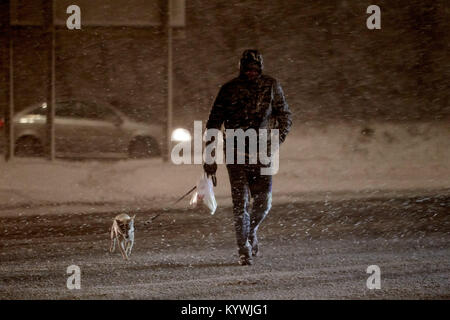 Newtownabbey, du Nord, de l'Irlande. 16 janvier, 2018. L'homme marcher un petit chien pendant l'amber alerte météorologique que les fortes chutes de neige commence à couvrir la garde en dehors de Belfast, en Irlande du Nord, le 16 janvier 2018 Credit : Radharc Images/Alamy Live News Banque D'Images