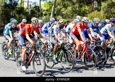 Adélaïde, Australie. 17 janvier, 2017. Le peloton peu après le début de la phase 2 du Tour Down Under cycliste à Adélaïde en Australie. 17 janvier 2018. James Azzurro/Alamy Live News. Banque D'Images